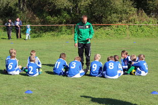 德甲球队构建战术模拟平台辅助赛中调整，德甲模式